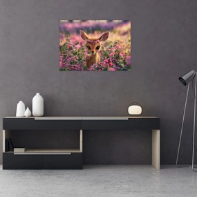 Sklenený obraz - Roztomilá srnčeka (70x50 cm)