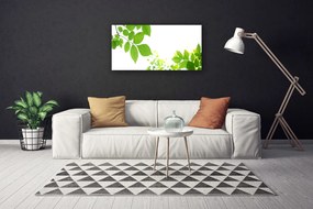 Obraz Canvas Plátky rastlina príroda 140x70 cm