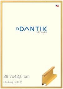 DANTIK rám na obraz 29,7x42 | ALU Dýha barevná žlutá (Plexi Čiré)
