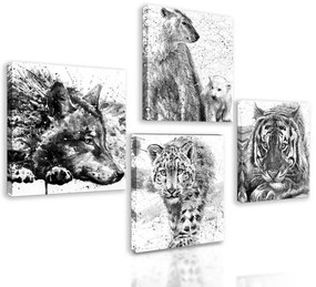 Set obrazov majestátne zvieratá v čiernobielom prevedení