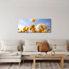 Obraz poľa s jasne žltými kvetmi (120x50 cm)