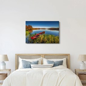 Obraz červené pramice (90x60 cm)