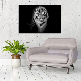 Obraz - Tiger so žltými očami (90x60 cm)