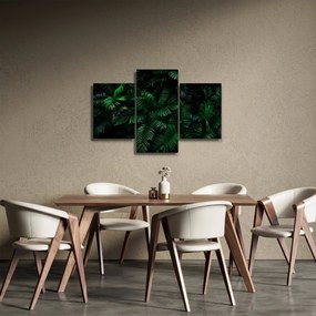 Obraz - Tropické papradie (90x60 cm)