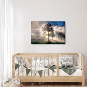 Obraz stromu v hmle (90x60 cm)