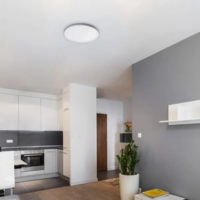 Rabalux 3428 - LED Stmievateľné stropné svietidlo PAVEL LED/22W/230V