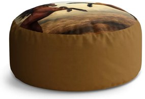 Taburet Circle vzpínajúce sa kone, hnedá