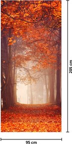 Fototapeta na dvere - Jesenný les (95x205cm)