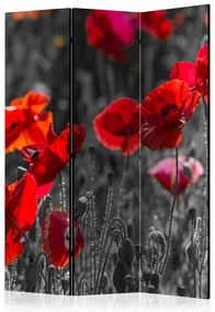 Artgeist Paraván - Red Poppies [Room Dividers]