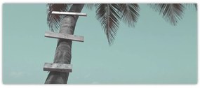 Obraz - Palma v Karibiku (120x50 cm)