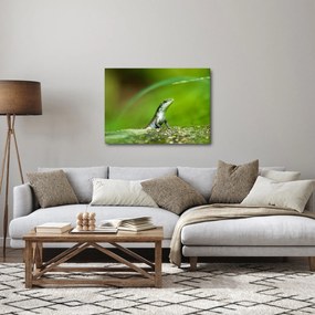 Obraz jašteričky (70x50 cm)