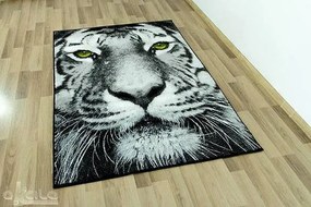 Koberec Rainbow 11179/190 tiger