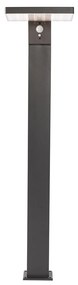 Vonkajšia stojaca lampa tmavosivá 80 cm vrátane LED a stmievateľného svetla na solár - Sunnie