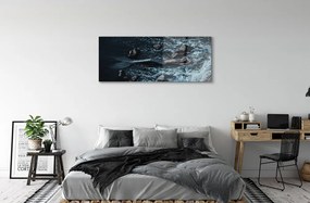 Obraz plexi Morská siréna 120x60 cm