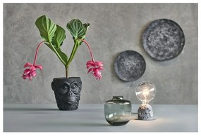 Čierny cementový kvetináč Villa Collection Calbe, výška 22 cm