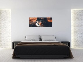 Obraz - Pohľad mačky (120x50 cm)