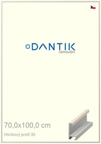 DANTIK rám na obraz 70x100 | ALU Dýha slonová kost (Plexi Čiré)