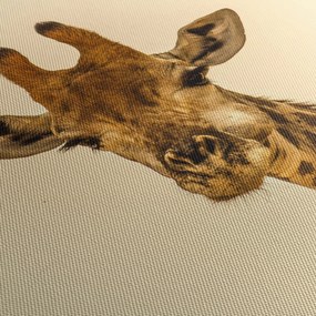 Obraz žirafy (150x105 cm)