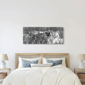 Obraz - Líška v zime (120x50 cm)