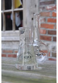 Sklenená váza (výška 23 cm) Natural History – Esschert Design