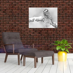 Obraz - Vtáčik na vetve (70x50 cm)