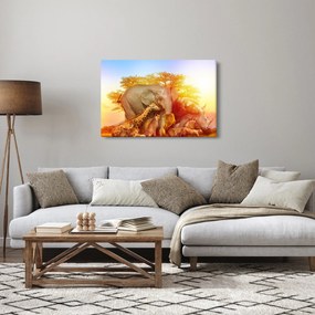 Obraz afrických zvieratiek (90x60 cm)