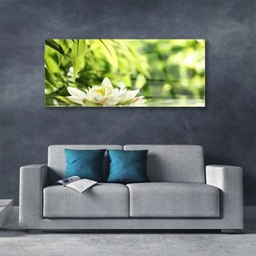 Obraz na akrylátovom skle Kvet listy 125x50 cm