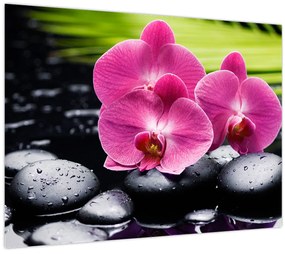 Obraz - Ružové orchidey s palmovým listom (70x50 cm)