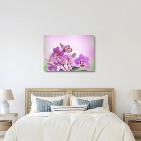Sklenený obraz - Motýľ na kvetoch orchidey, lila (70x50 cm)