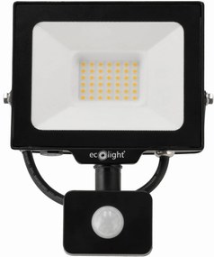 ECOLIGHT LED reflektor 30W 2v1 - studená biela + čidlo pohybu
