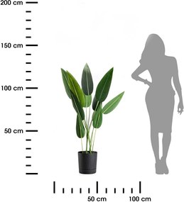 Květináč s podmiskou AZALEA 22,5 cm černý beton