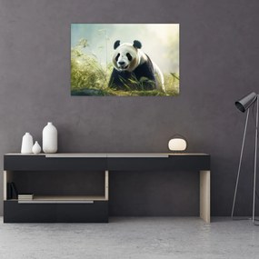 Obraz - Panda (90x60 cm)