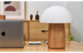 Stmievateľná stolová lampa v prírodnej farbe so skleneným tienidlom (výška 32 cm) Alice - Gingko