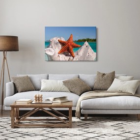 Obraz morskej hviezdice (90x60 cm)