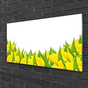 Skleneny obraz Kvety príroda tulipány 100x50 cm