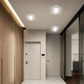 Immax NEO 07257L - LED Stmievateľné svietidlo LUNGO 20W/230V Wi-Fi Tuya biela + DO