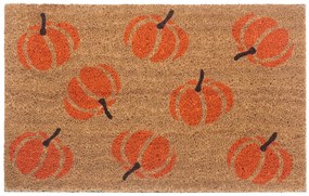 Hanse Home Collection koberce Rohožka Mix Mats Cocos 105677 - 45x75 cm