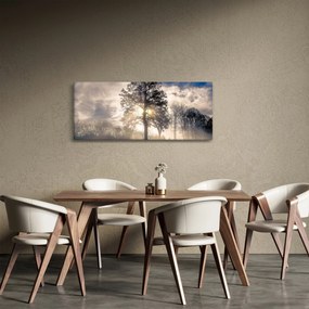 Obraz stromu v hmle (120x50 cm)