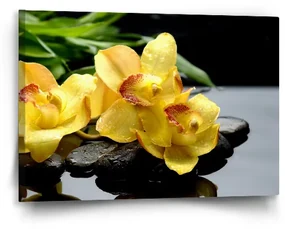 Sablio Obraz Žlté Orchidey - 60x40 cm