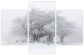 Obraz - Biela zima (90x60 cm)