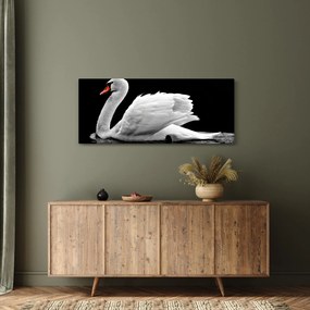 Obraz čiernobielej labute (120x50 cm)