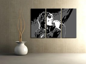 Ručne maľovaný POP Art obraz Ian Brown | rôzne rozmery