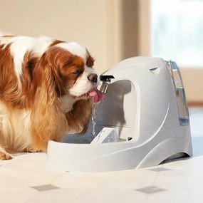 PetSafe® Platinum Fontánka 5l