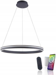 Paul Neuhaus Q-vito Led závesné svietidlo Smart ZigBee 2700-5000K 79,4 cm