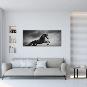 Obraz - Kôň čiernobiely (120x50 cm)