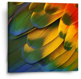 Sablio Obraz Farebné perie - 50x50 cm