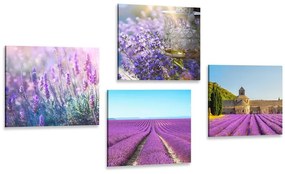 Set obrazov pre milovníkov levandule - 4x 60x60