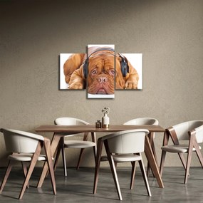 Obraz psa so slúchadlami (90x60 cm)