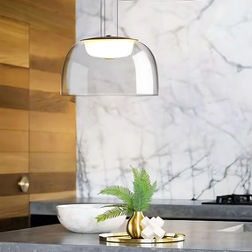 Závesný LED luster APP1690-1PC B číry/neutrálna biela