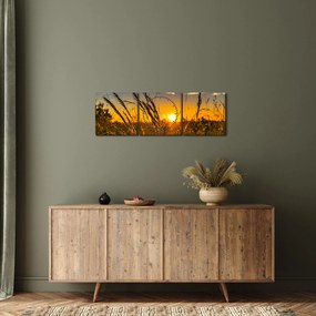 Obraz pole pri západe slnka (s hodinami) (90x30 cm)
